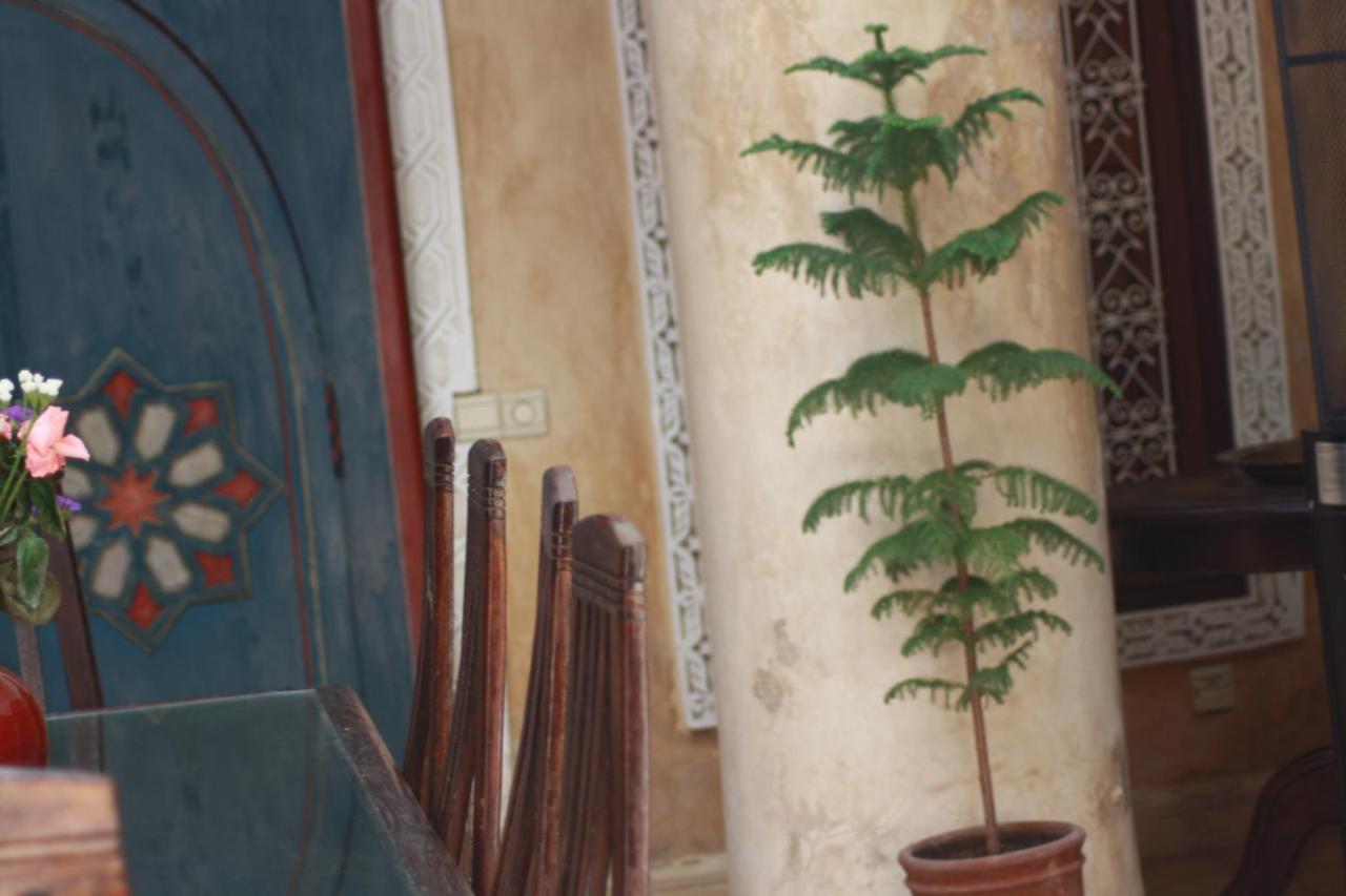 Lorsya Riad
